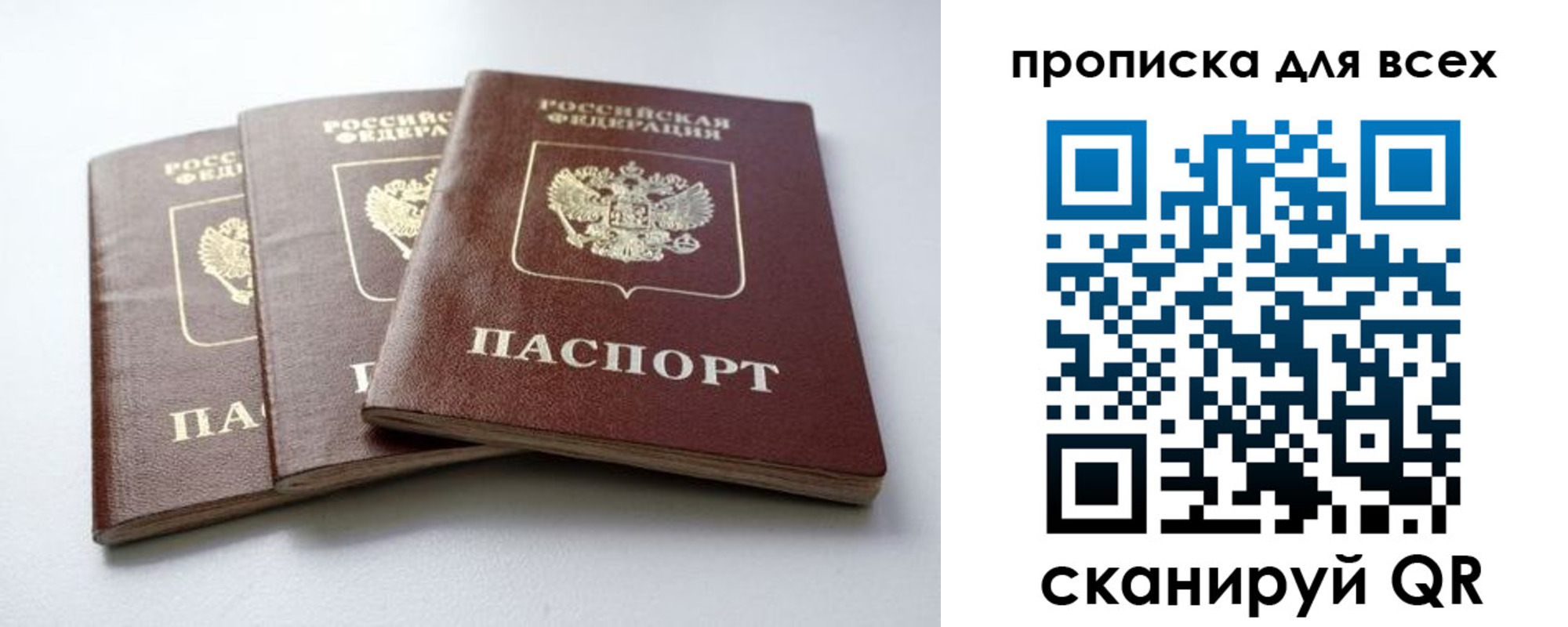временная регистрация 2025 в Мончегорске